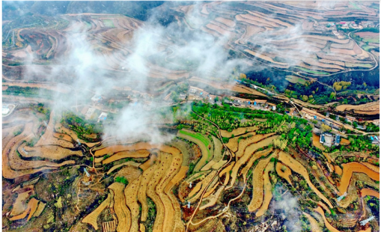 湖南垃圾桶 湖南垃圾桶