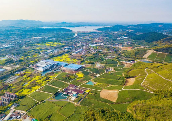 湖南垃圾桶 湖南垃圾桶